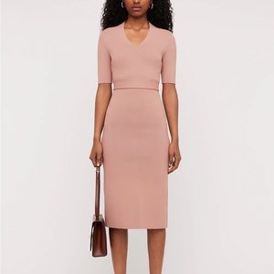 Scanlan Theodore Crepe Knit V Neck Dress in POWDER